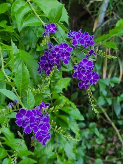 20231002_165836.jpg