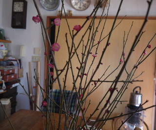P1250053.JPG