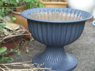 P1450346.JPG