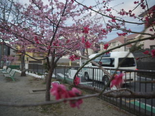 P1450608.JPG