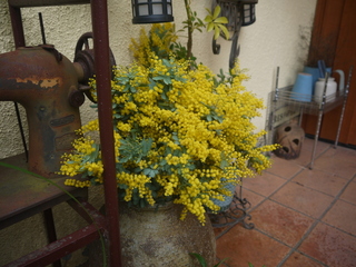 P1450707.JPG