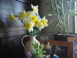 P1450735.JPG