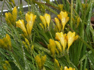 P1450846.JPG