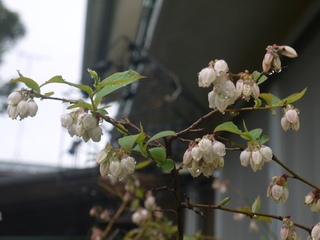 P1450850.JPG