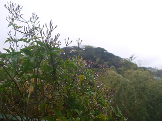 P1450859.JPG