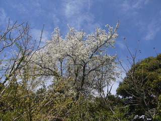 P1450937.JPG