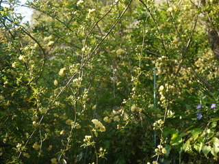 P1460030.JPG