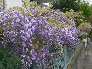 P1460053.JPG