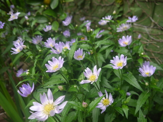 P1460096.JPG