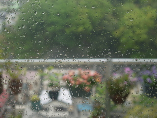 P1460181.JPG