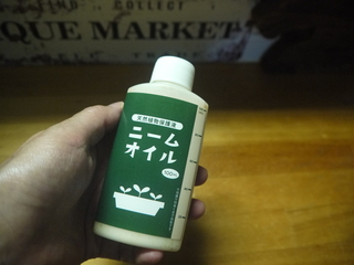 P1460210.JPG