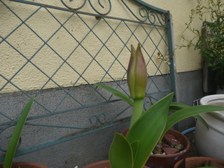 P1460216.JPG
