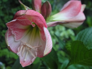 P1460371.JPG