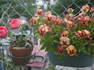 P1460616.JPG