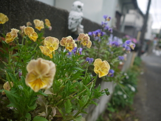 P1460624.JPG
