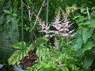 P1460704.JPG