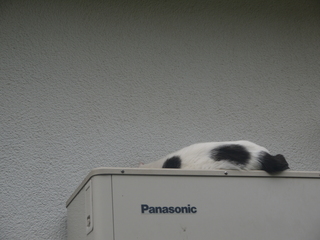 P1460836.JPG