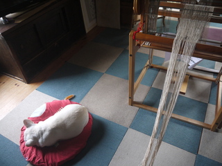 P1470876.JPG