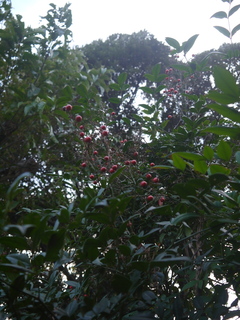 P1480128.JPG