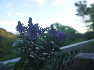 P1480203.JPG