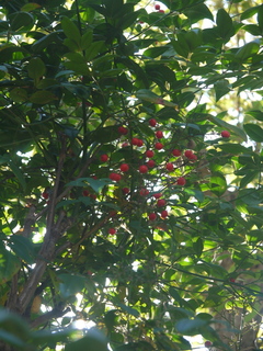 P1480244.JPG