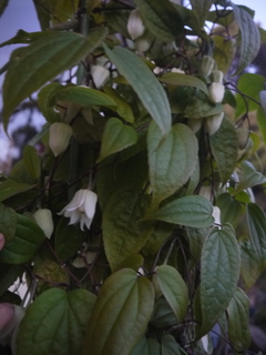 P1480755.JPG