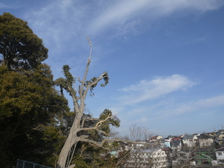 P1480794.JPG